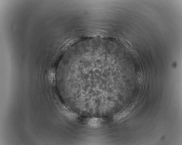 X0000096140527200801251044