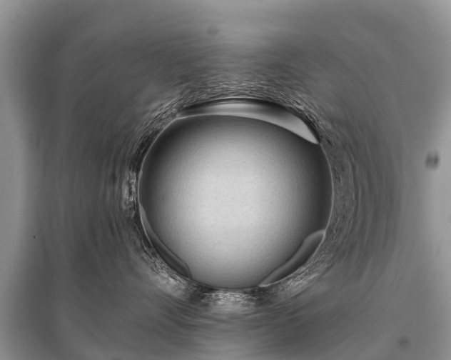 X0000096140528200801251044