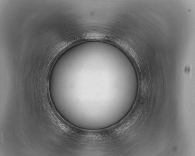 X0000096140529200801251043