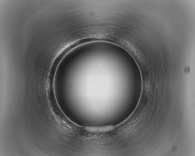 X0000096140532200801251044