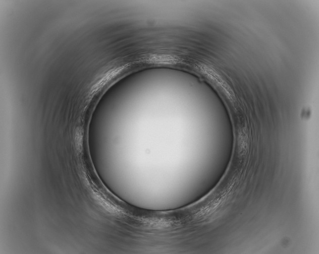 X0000096140533200801251044