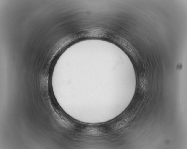 X0000096140534200801251044