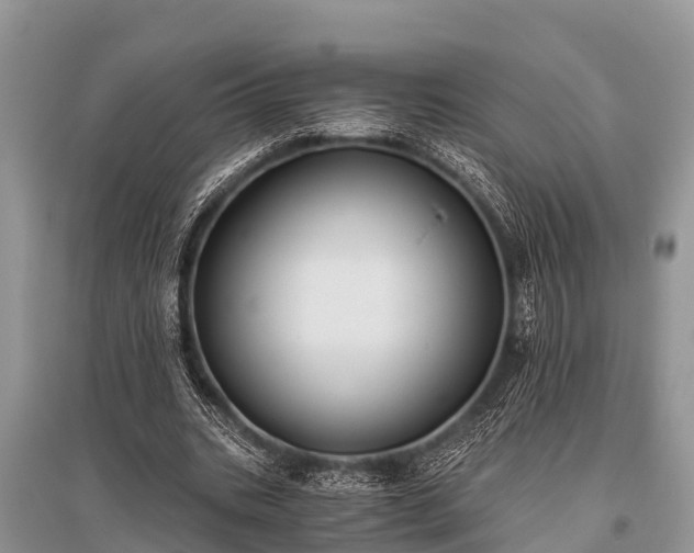 X0000096140535200801251044