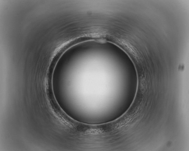 X0000096140536200801251044