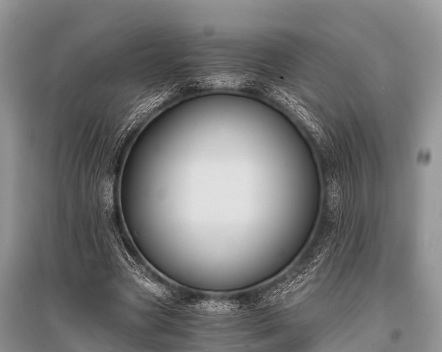 X0000096140537200801251044