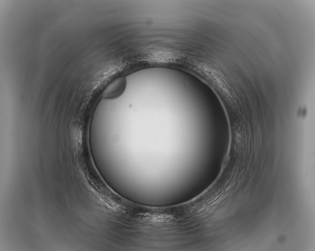 X0000096140539200801251044
