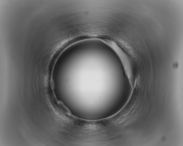 X0000096140540200801251044