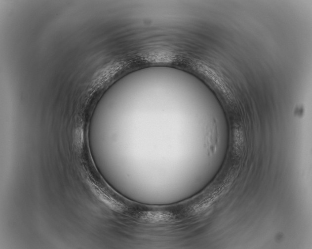 X0000096140541200801251044