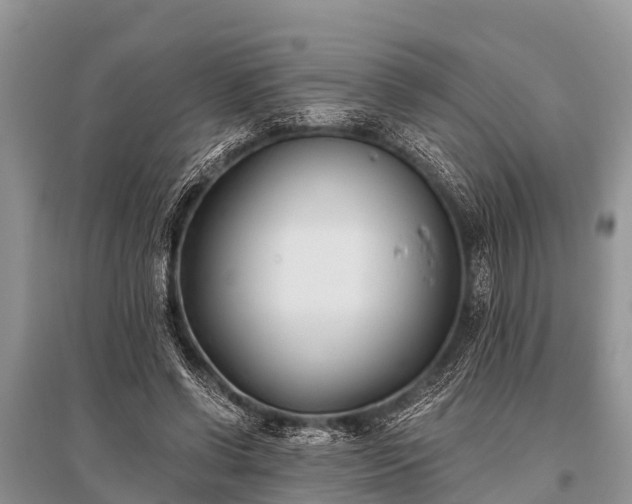 X0000096140542200801251044