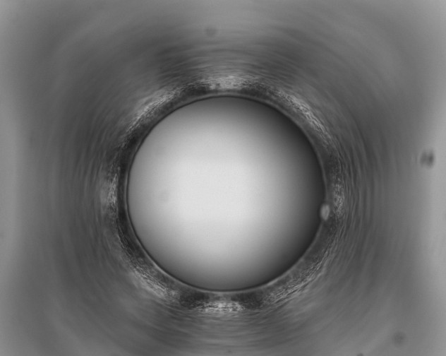 X0000096140543200801251044
