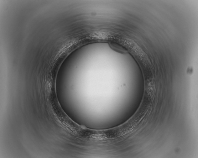 X0000096140544200801251044