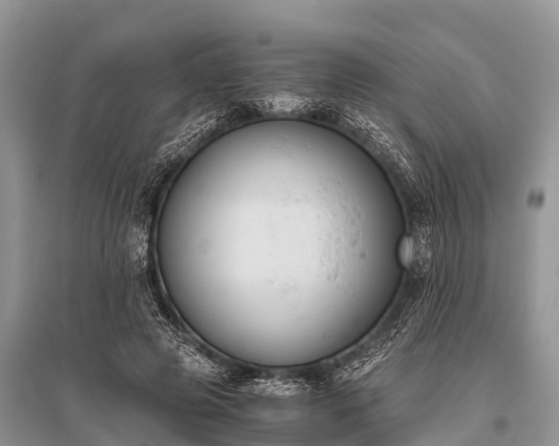 X0000096140545200801251044