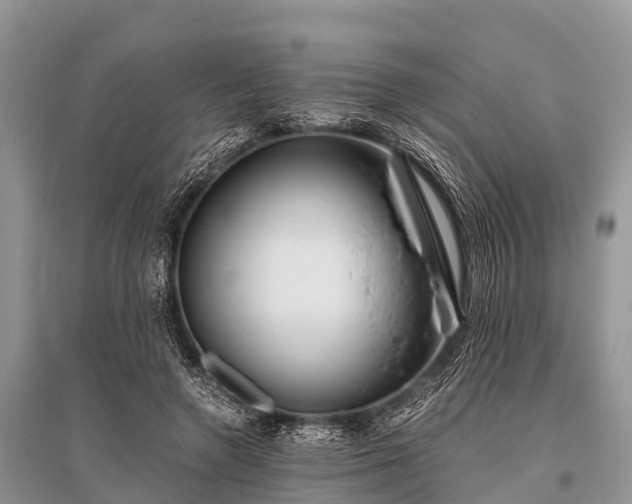 X0000096140546200801251044