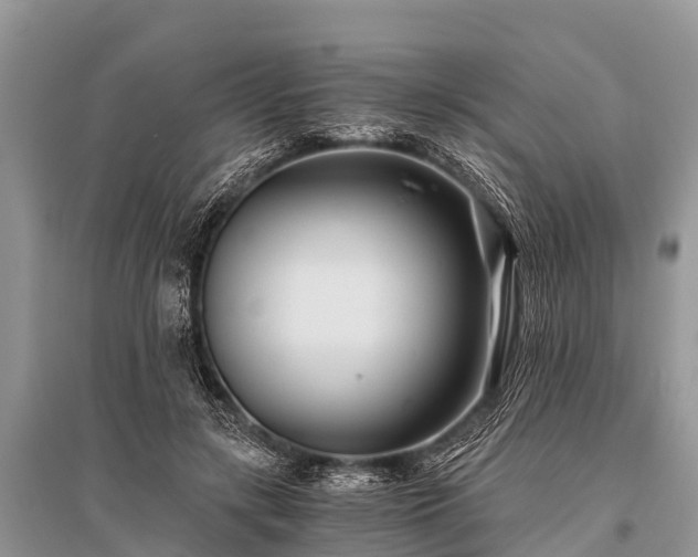 X0000096140547200801251044