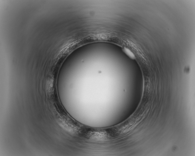 X0000096140548200801251044