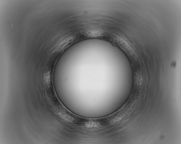 X0000096140549200801251044