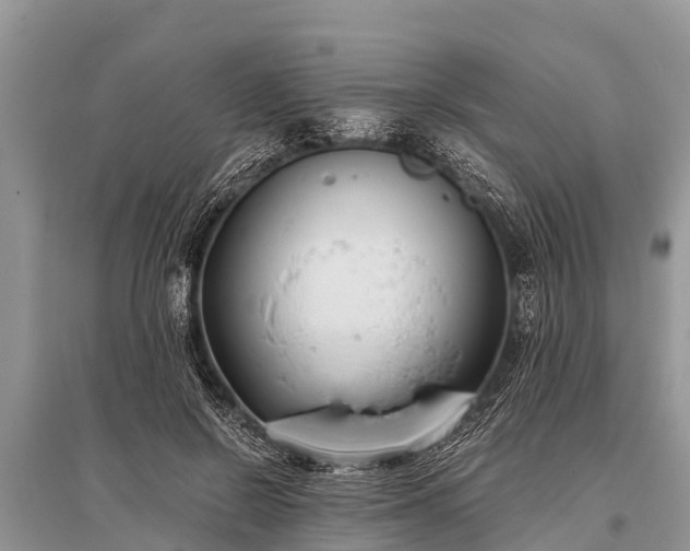 X0000096140550200801251044