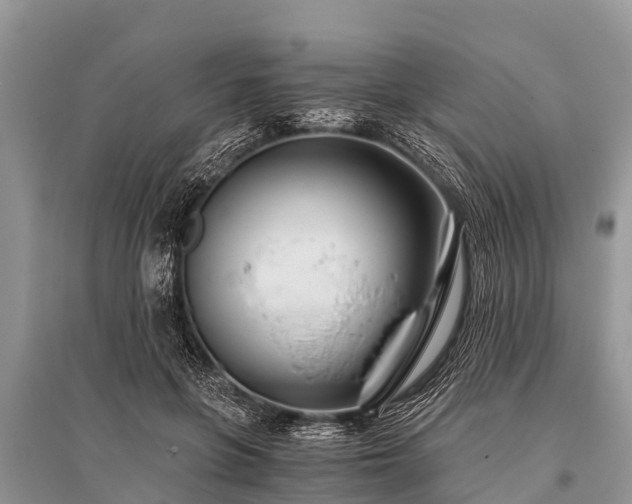X0000096140551200801251044