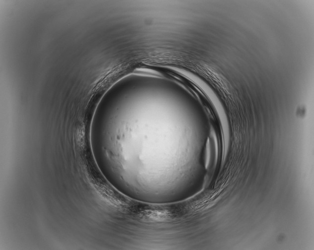 X0000096140552200801251044