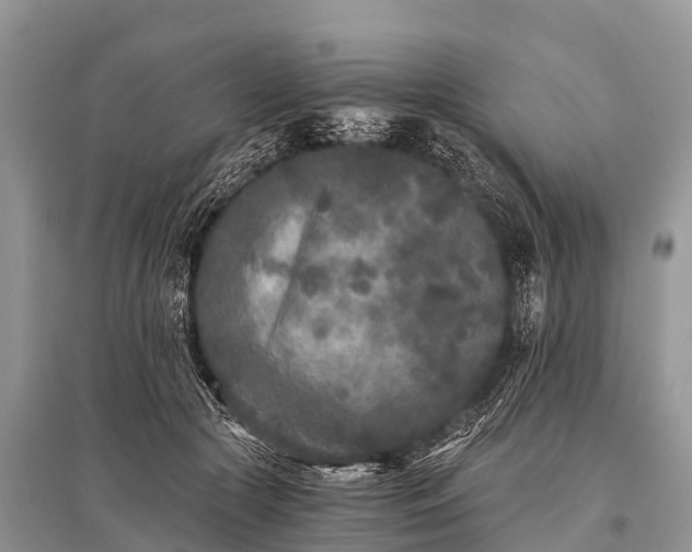 X0000096140553200801251044