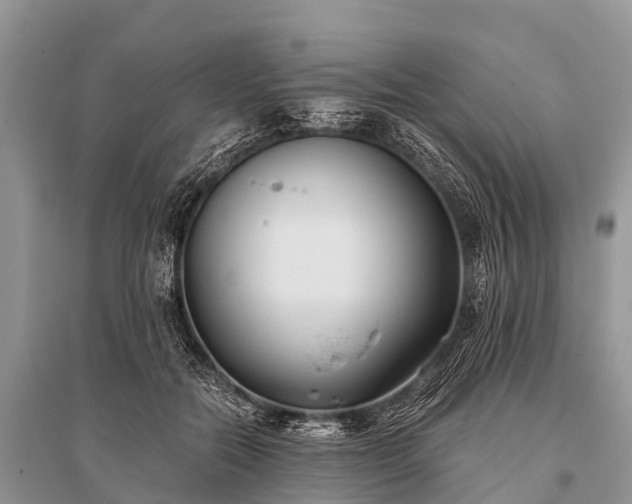 X0000096140554200801251044