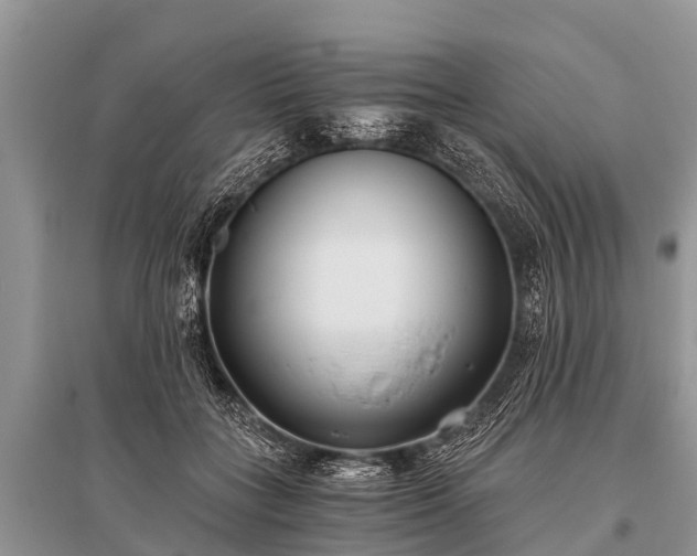 X0000096140555200801251044