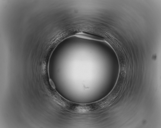 X0000096140556200801251044