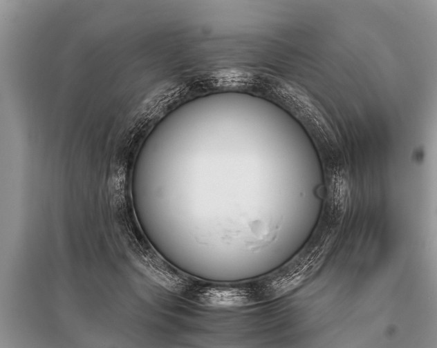 X0000096140557200801251044