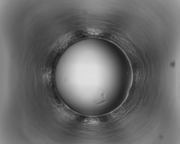 X0000096140559200801251044