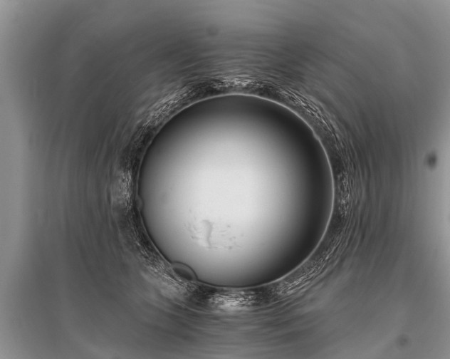 X0000096140563200801251044
