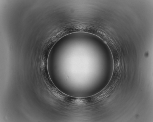 X0000096140566200801251044