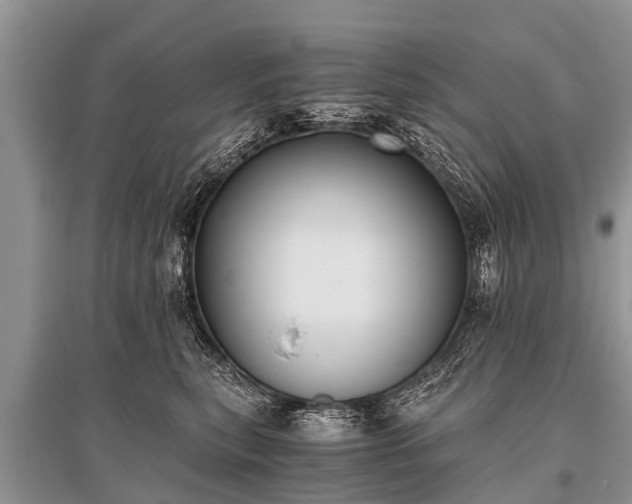 X0000096140567200801251044