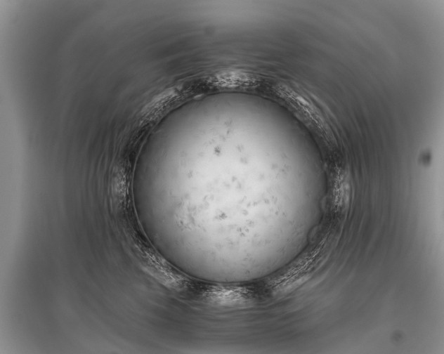 X0000096140569200801251044