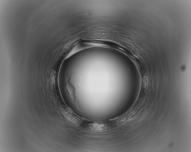 X0000096140570200801251044
