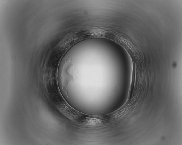 X0000096140572200801251044