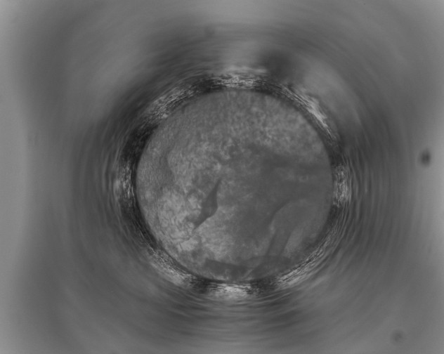 X0000096140573200801251044