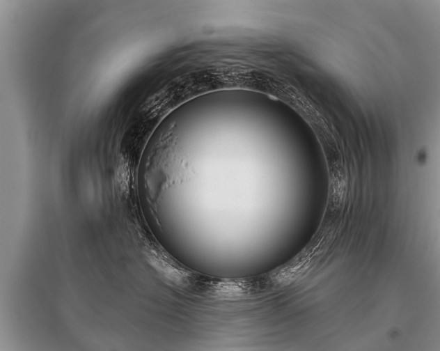 X0000096140574200801251044