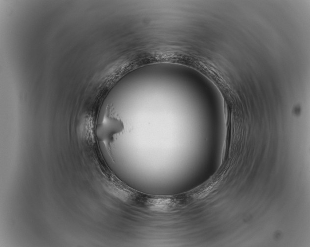 X0000096140575200801251044