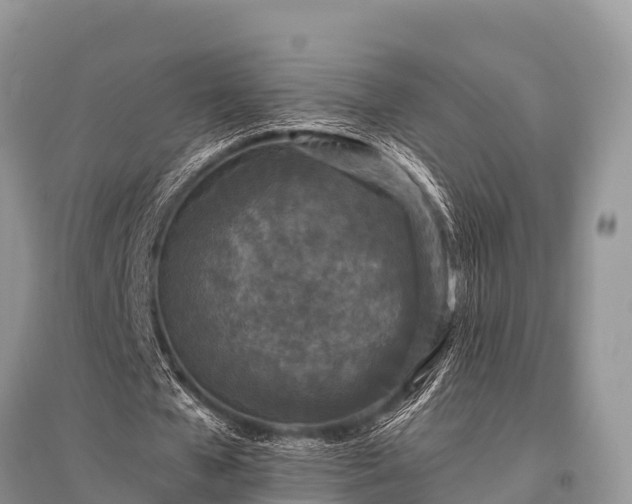 X0000096140577200801251043
