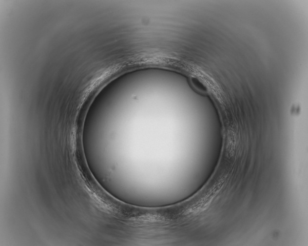 X0000096140578200801251043