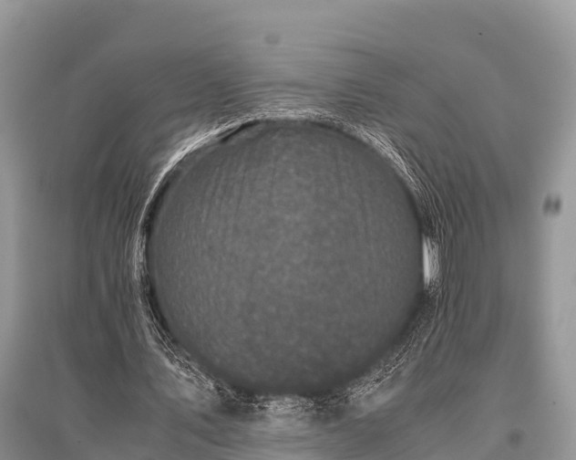 X0000096140579200801251043