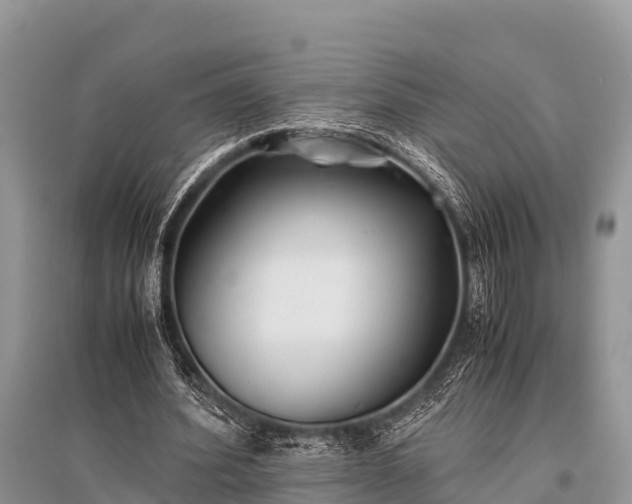 X0000096140580200801251043