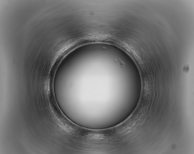 X0000096140582200801251043