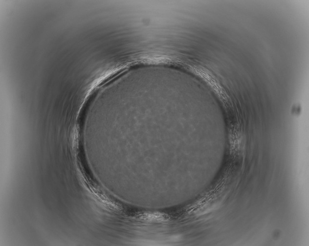 X0000096140583200801251043