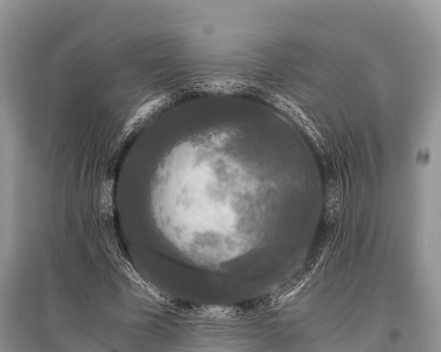 X0000096140585200801251043