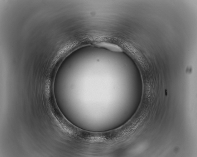 X0000096140586200801251043