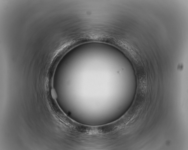 X0000096140587200801251043
