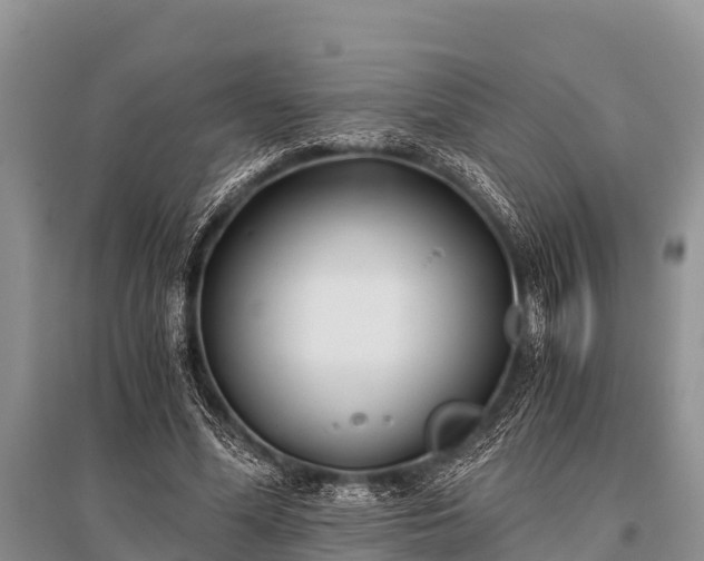 X0000096140588200801251043