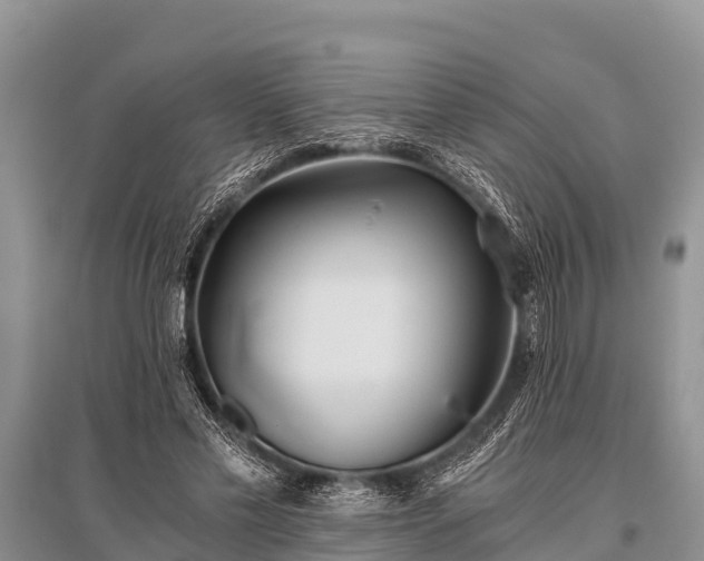 X0000096140589200801251043