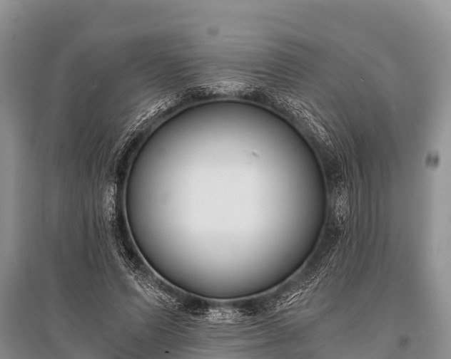 X0000096140591200801251043